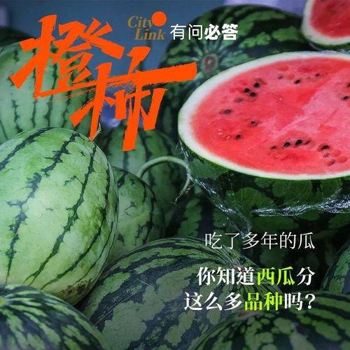 吃瓜群众欢喜就好,揭秘网络热议背后的轻松态度