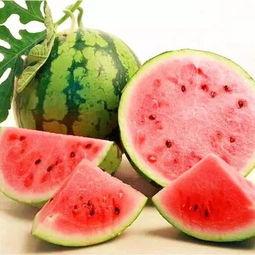 上海生瓜怎么吃,上海生瓜的多样食法探索