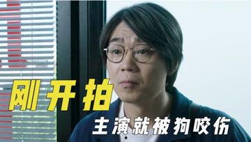 吃瓜01.com,带你走进网络八卦世界的奥秘
