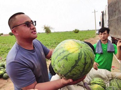 吃瓜头盖骨,从头盖骨探寻古人类饮食习惯