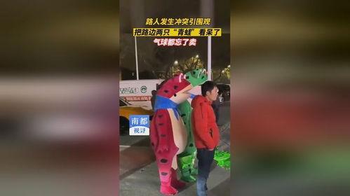 青蛙路边沉迷吃瓜,揭秘夏日街头一幕
