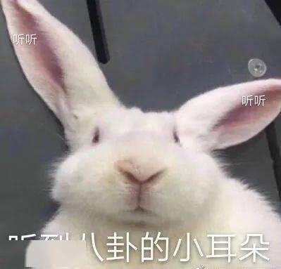 兔二吃瓜,揭秘娱乐圈那些不为人知的幕后故事