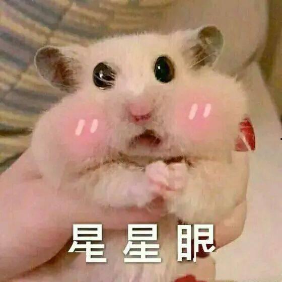 兔二吃瓜,揭秘娱乐圈那些不为人知的幕后故事