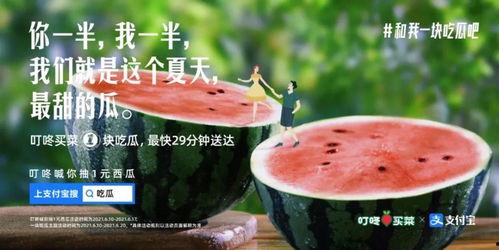 吃瓜现状文案,揭秘网络时代的“瓜田”风云