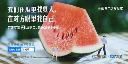 吃瓜现状文案,揭秘网络时代的“瓜田”风云
