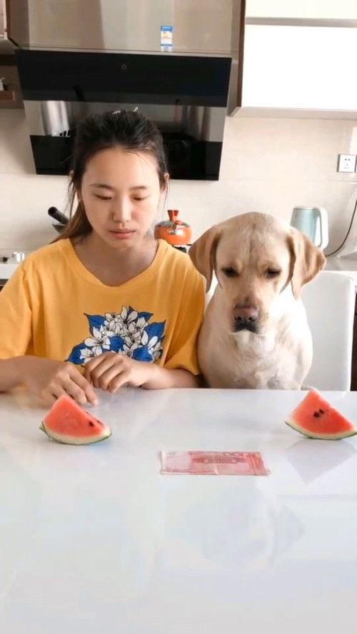 户外比赛吃瓜视频,吃瓜群众围观精彩瞬间