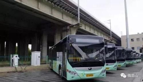 眉山东站吃瓜,揭秘车站美食风云录