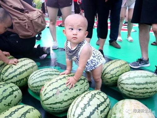 看照片吃瓜,一图一故事，带你领略视觉盛宴