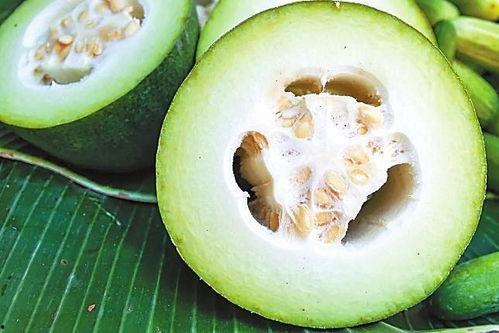 看照片吃瓜,一图一故事，带你领略视觉盛宴