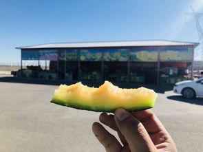 瓜州中午吃啥,探寻当地特色午餐