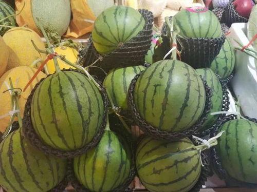 吃瓜小悠悠,揭秘娱乐圈幕后故事