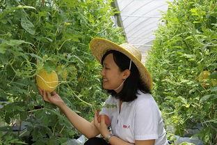 青州摄影吃瓜,捕捉光影中的吃瓜乐趣