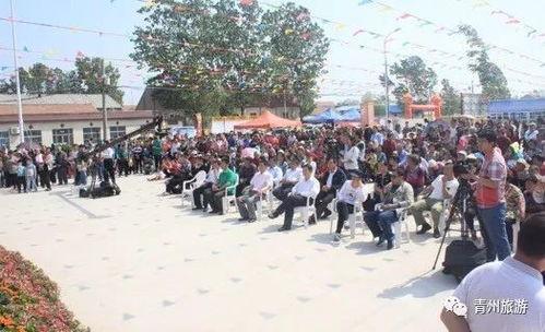 青州摄影吃瓜,捕捉光影中的吃瓜乐趣