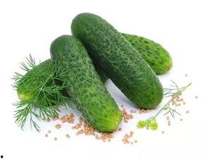 民国吃瓜日常 210,吃瓜日常210年变迁