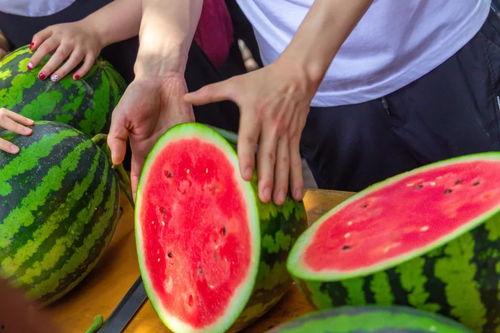 吃瓜成犯人,网络舆论的反思与启示