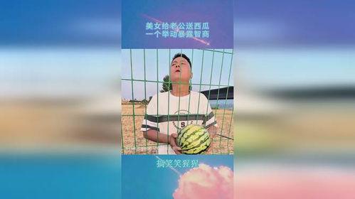 带上脑子吃瓜,带你领略智慧吃瓜之道