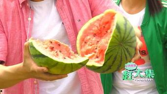 带上脑子吃瓜,带你领略智慧吃瓜之道