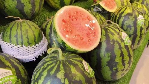 带上脑子吃瓜,带你领略智慧吃瓜之道