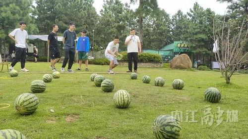 旅游景区吃瓜,探寻旅游景区的美食瓜界