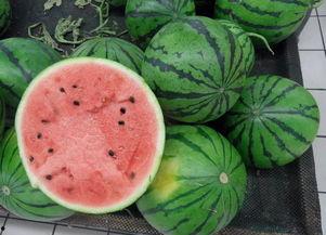 晒瓜怎么吃,解锁夏日清凉美味