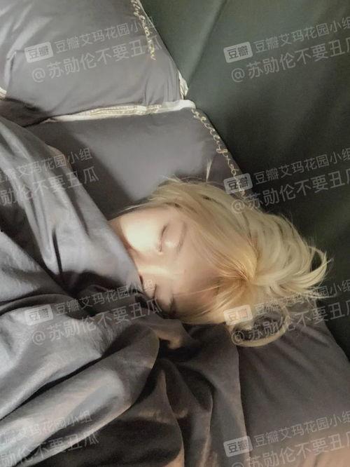 吃瓜陈思琪,揭秘娱乐圈背后的故事