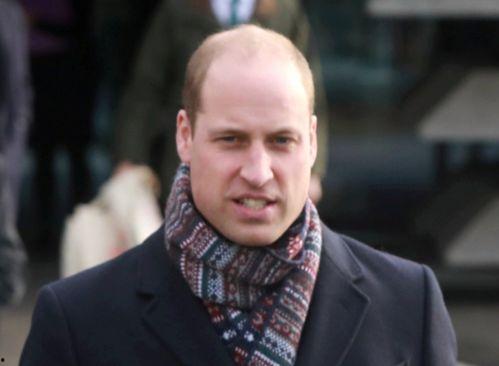 秃头大爷吃瓜,秃头大爷的瓜田奇遇记