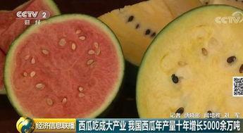 吃瓜北京,揭秘京城美食背后的故事