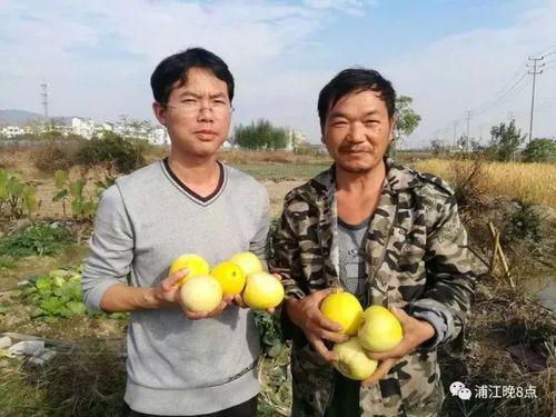 满仓吃瓜,揭秘股市中的狂欢与风险