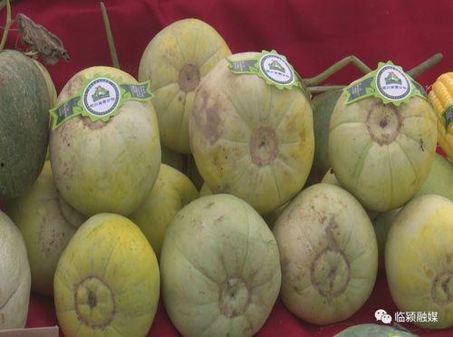 做梦吃瓜甜瓜西瓜,甜瓜西瓜的甜蜜邂逅