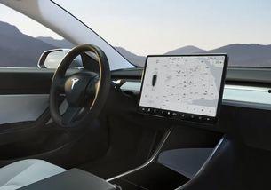 特斯拉吃瓜互动