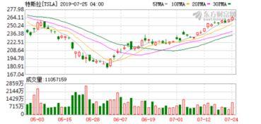 特斯拉吃瓜互动