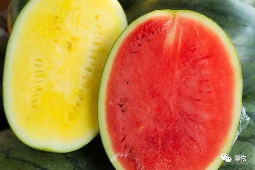 吃瓜高级定制,揭秘高级定制吃瓜艺术