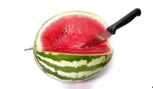 吃瓜高级定制,揭秘高级定制吃瓜艺术