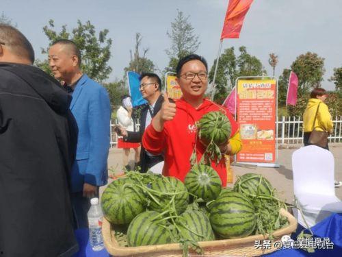 吃瓜夏邑,揭秘这座古城的美食传奇