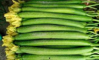 冬天吃瓜菜的好处,冬季吃瓜菜的好处盘点