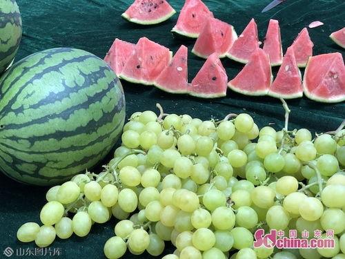 阿云吃瓜,揭秘娱乐圈那些不为人知的幕后故事