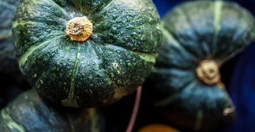 瓜真甜可以吃吗怎么吃的,揭秘美味瓜果的食用方法与技巧