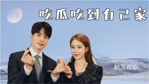 吃瓜粉丝小说,揭秘吃瓜粉丝背后的小说世界