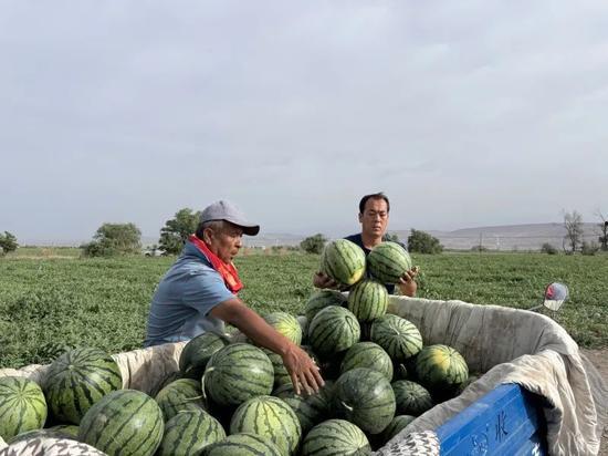 吃瓜邓州,揭秘当地美食文化盛宴