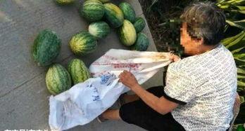 孝义最近吃瓜视频,揭秘当地热点事件背后的真相