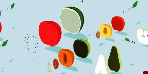 理性吃瓜模型,揭秘网络舆论背后的真相与偏见