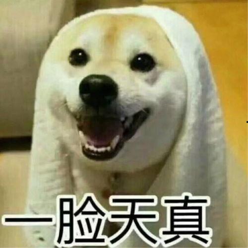 情侣吵架朋友吃瓜视频,朋友化身吃瓜群众，场面笑料百出