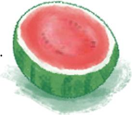 瓜皮吃瓜,揭秘网络热词背后的趣味与思考