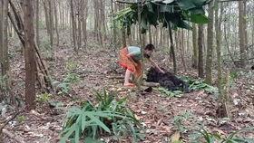 野野吃瓜场,揭秘娱乐圈幕后故事与热点事件