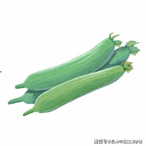 热气吃瓜,热气腾腾，尽享清凉瓜果盛宴