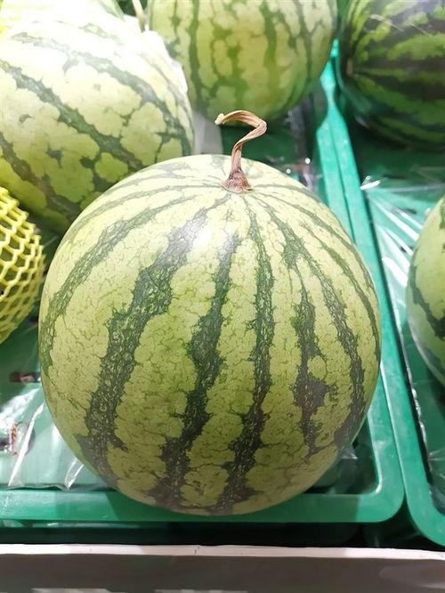 大瓜吃吗,揭秘娱乐圈的幕后故事与热点事件