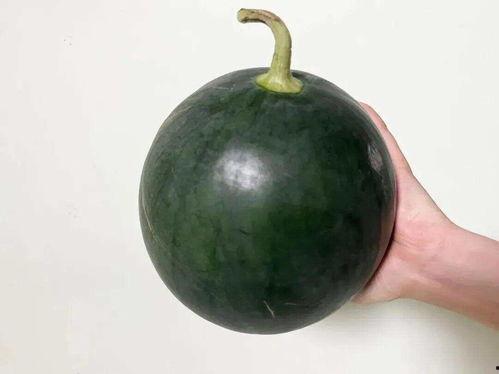 大瓜吃吗,揭秘娱乐圈的幕后故事与热点事件